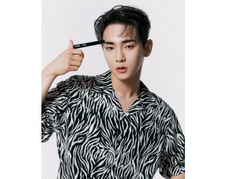 Black And White Zebra Short Sleeves Shirt | Key – SHINee